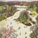 Schumacher X The New Yorker The New Yorker Seasonal Covers Wallpaper ...